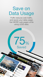 Puffin Web Browser Screenshot
