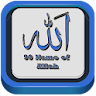 99 Name of Allah Asma-ul Husna icon