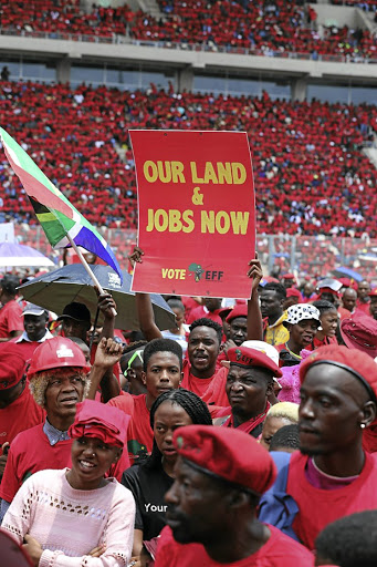 The EFF manifesto describes itself as a new generation and the party is unencumbered by the baggage of a track record in government, says the writer.