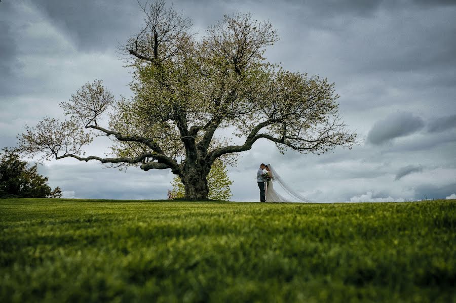 Fotograful de nuntă Bruno Sauma (brunousa). Fotografia din 25 noiembrie 2017