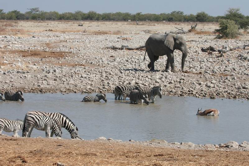 Etosha 