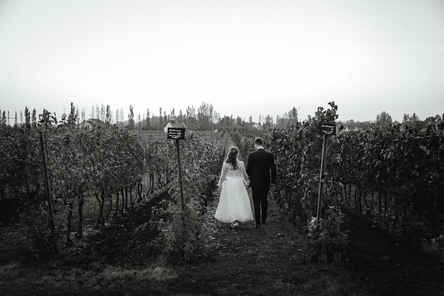 Fotógrafo de casamento Ivan Ostojic (ivanostojic). Foto de 4 de fevereiro 2023