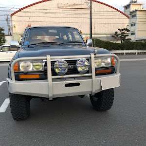 ランドクルーザー80 HDJ81V