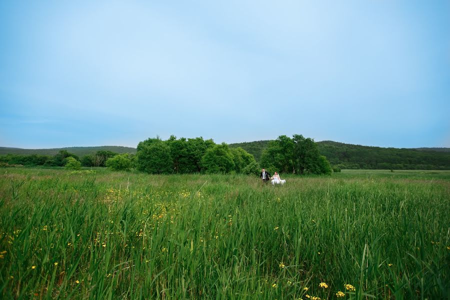 結婚式の写真家Aleksandr Petunin (petunin)。2015 7月28日の写真