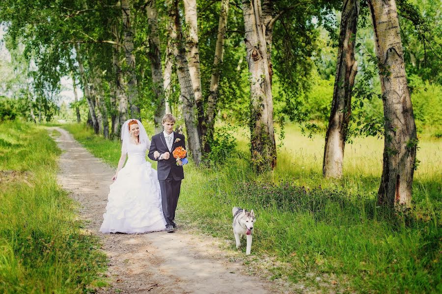 Hochzeitsfotograf Anna Alekseenko (alekseenko). Foto vom 2. August 2013