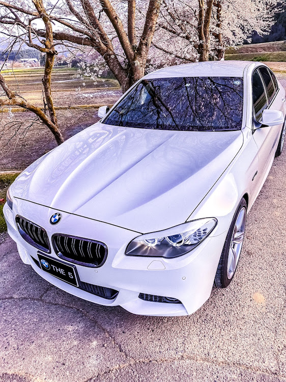 5シリーズ セダンのサクラと愛車・bmw5シリーズ・f10・桜コラボ・撮影スポット探しに関するカスタム事例の投稿画像4枚目
