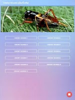 Cricket Sounds Screenshot