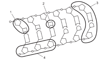 Protein synthesis