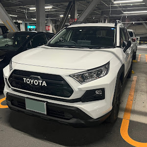 RAV4 MXAA54