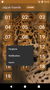Jaguar (Animal) Sounds(圖2)-速報App