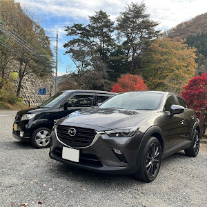 CX-3 DKLFW