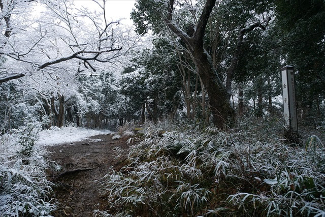 八王子城跡