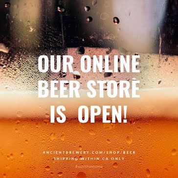 Online Beer Store - Instagram Post template