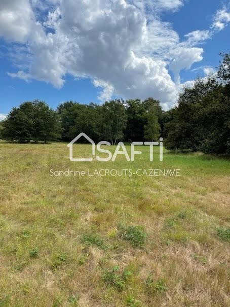 Vente terrain  9366 m² à Briare (45250), 419 500 €