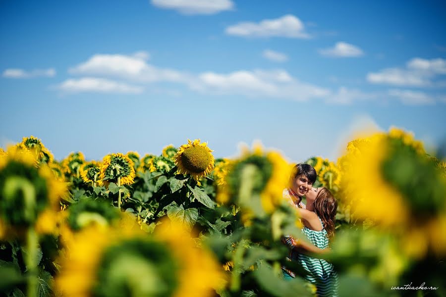 Fotograful de nuntă Ivan Tkachev (tkachev). Fotografia din 24 iulie 2014