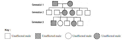 Pedigree Analysis