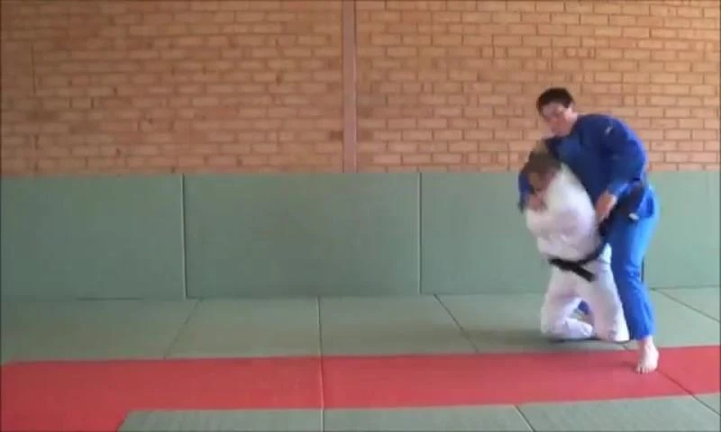   Judo techniques1 - screenshot 