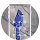 Download Blue feathered noble bird theme For PC Windows and Mac 1.0.2