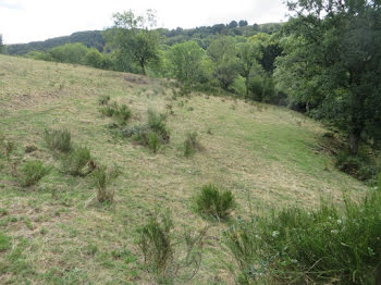 terrain à Thiézac (15)