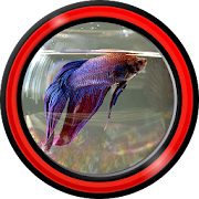 Aquarium Live Wallpapers for Android™ 1.3 Icon