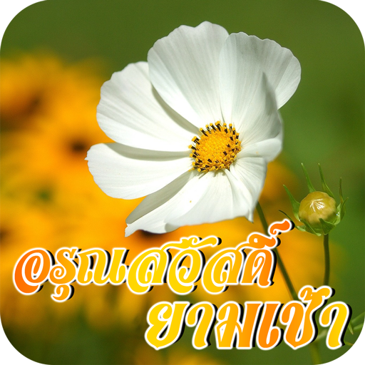 อรุณสวัสดิ์ยามเช้า รูปภาพสวัสดีตามวันใหม่ๆ