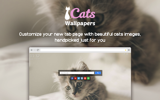 Cats Wallpapers