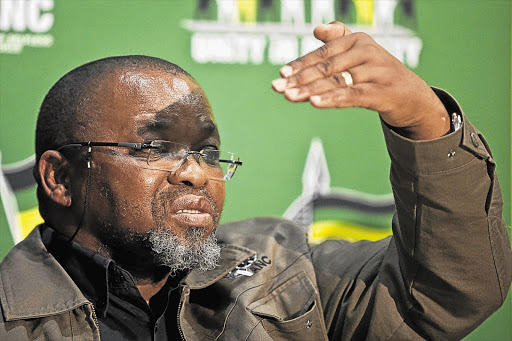 ANC secretary-general Gwede Mantashe. File photo