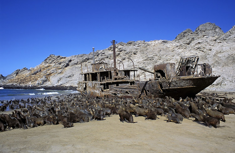 A shipwreck and seal colony on the Skeleton Coast in the Namib-Naukluft National Park.