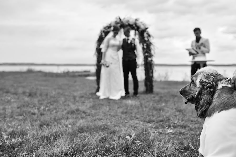 Fotografo di matrimoni Andrey Drozdov (adeo). Foto del 13 dicembre 2016