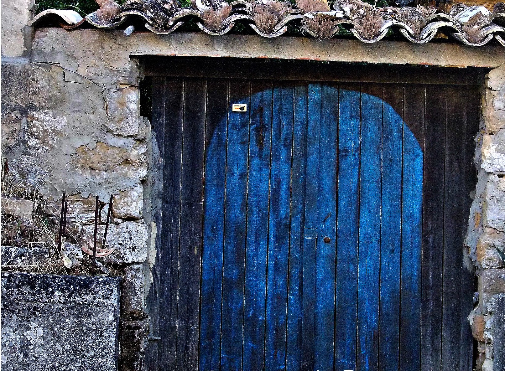 Porta Blu di Elisabetta Di Franco