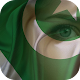 Download Pakistan Flag On Face Photo Editor For PC Windows and Mac 1.0