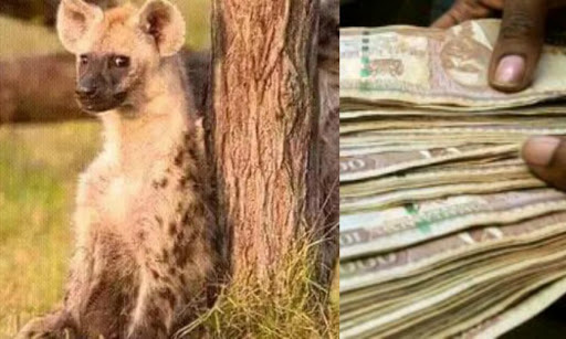 Kenyan-Sponsors-vs-Mafisi