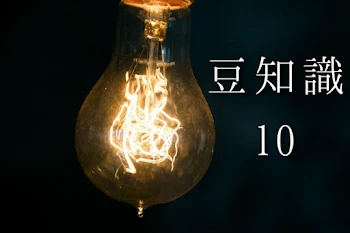 豆知識10