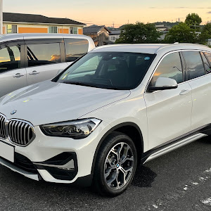 X1 xDrive 18d