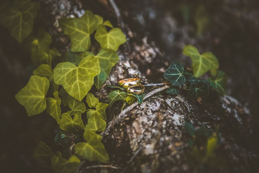 Photographe de mariage Andrea Frascarelli (andreafrascarel). Photo du 24 janvier 2019