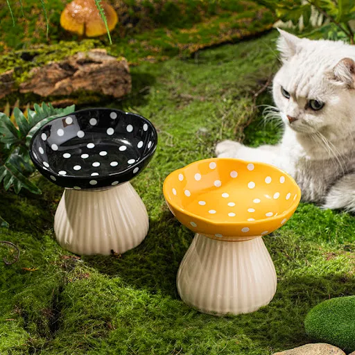 images slider number - 5