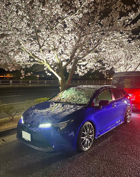 カローラツーリングのカローラツーリング・桜とコラボ🌸・カローラツーリングと繋がりたい・夜桜・フォロー大歓迎に関するカスタム事例の投稿画像3枚目