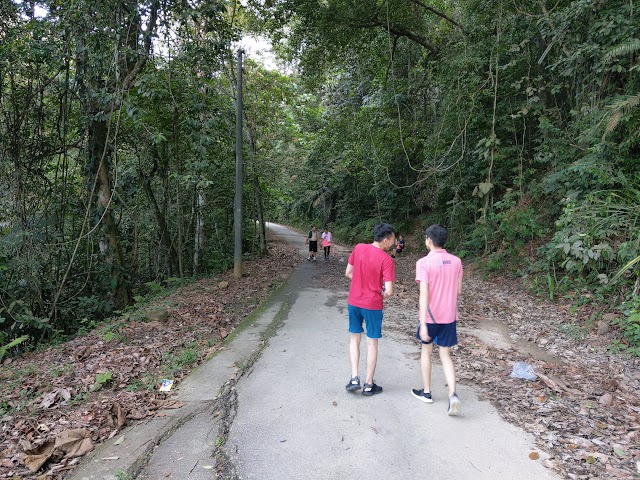 Mount Pulai road