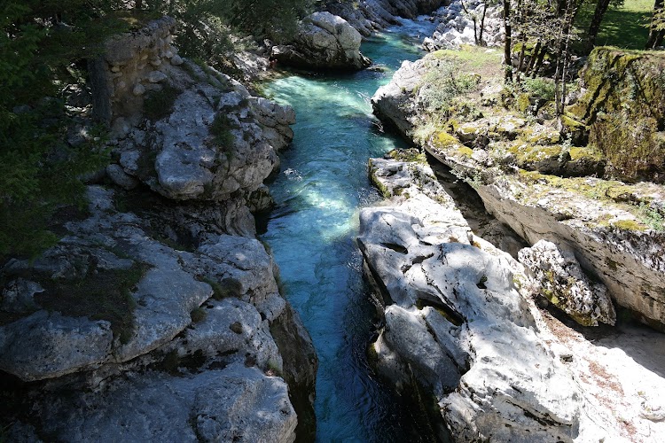 ESLOVENIA EN VERDE Y TURQUESA + VENECIA DE POSTRE - Blogs de Eslovenia - GARGANTAS Y NACIMIENTO DEL SOČA, PASO VRŠIČ Y LAGO JASNA (9)