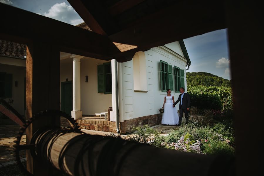 Fotógrafo de bodas Gábor Badics (badics). Foto del 3 de octubre 2019