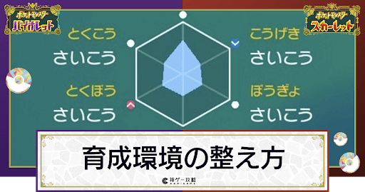 育成と厳選環境の整え方