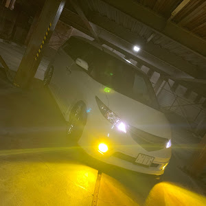 エリシオン RR1
