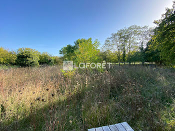 terrain à Doué-en-Anjou (49)