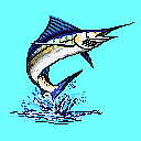 Marlin Cyan