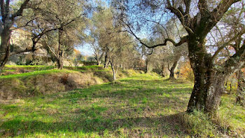 terrain à batir à Contes (06)