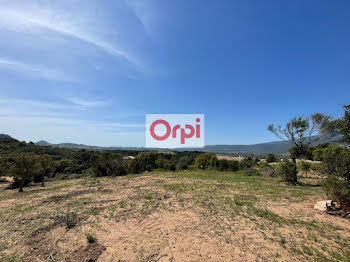 terrain à batir à Figari (2A)