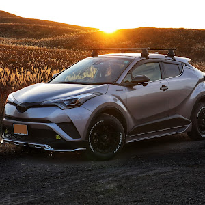 C-HR ZYX10