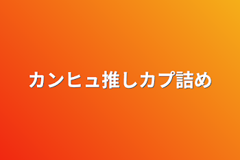 カンヒュ推しカプ詰め