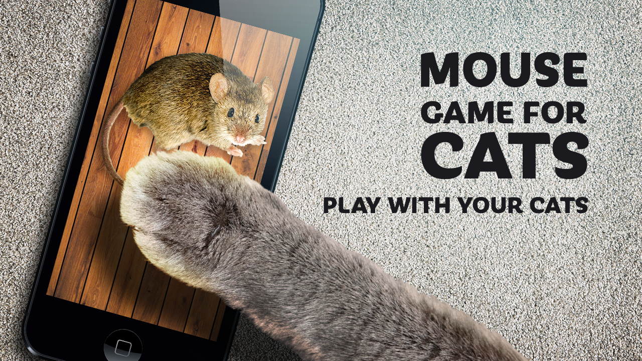 Cat And Mouse App For Android Box Cat And Mouse For Android Apk