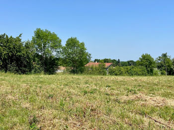 terrain à Montcet (01)